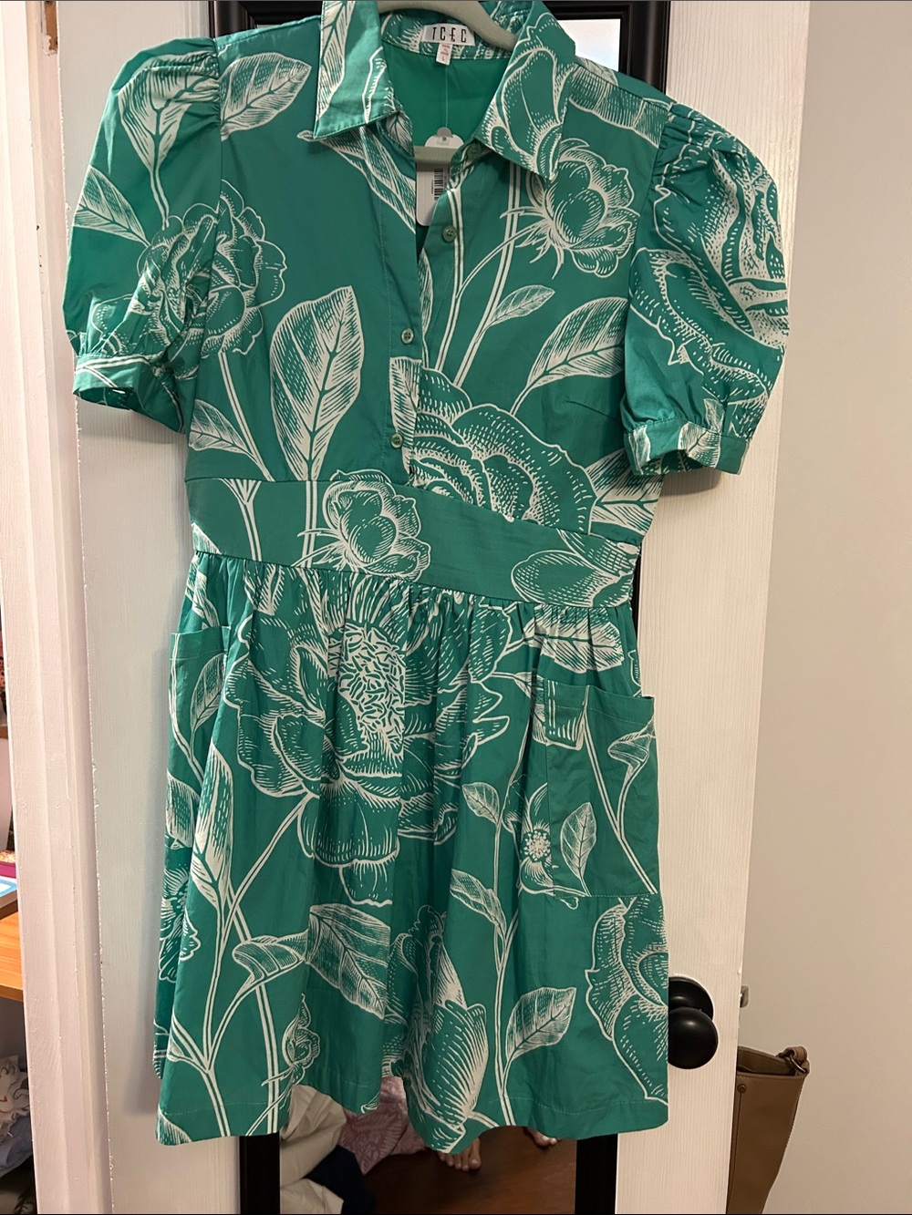 Ice Green Floral Collared Mini Dress